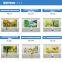 Factory Direct Sales Digital Pvc Floor Ground Printed Vinyl Sticker 3D Floor Plate Printing Machine Printer