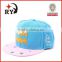 Brushed Cotton Embroidery Promotional Snapback Hat And Cap
