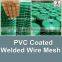 china facotry green color epoxy coated wire mesh