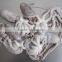 frozen octopus BQF Octopus Of Various Sizes