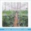 Greenhouse film, greenhouse plastic, greenhouse covers