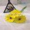 Wholesale Fresh Cut Grebera Flower Kunming Flowers Export