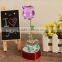 Souvenirs Crystal Gift Crystal Rose Crystal Gift Items