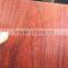 printing and embossed color coated PPGI PPGL in coils for sandwich panel shutter door