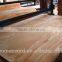 Cheap Price of Rotary Cut Radiata Pine Veneer for Plywood Use 1270x2540mm Natural Wood Veneer