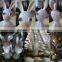 OEM custom palstic vinyl toy maker
