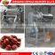 Single channel fruit pulp making machine on promotion