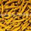 Grade A turmeric finger