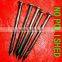 african market big order common nails
