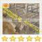 our factory produce the cage for sow ,gilt,fattener,weaner pig