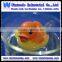 Kids bathroom toy magic color change water duck