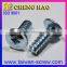 Excellent Quality Low Profile Pan Head Screw