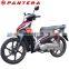 110CC Cheap New Design Engine Motorcycle