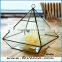 Hot sale indoor plant glass terrarium clear glass geometrical hanging terrarium-plant holder glass terrarium