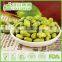 BRC, HALAL , FAD, Certificated Manufacturer Salted and Roasted Green Beans