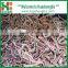 IQF Frozen Black Fungus Ear Mushroom