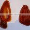 Rich nutrients in processed tomato products of tomato paste China origin