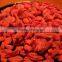 Ningxia dried goji berry extract for wholesale