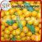 Preserved dried kumquat green color