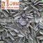 Chinese Export Price Sunflower Seeds in Ton