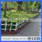 2016 free sample pvc garden border fence/pvc garden fence (guangzhou factory)