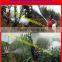 High effect chemical misting agricultural Fogging Machine for pest control