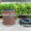 hot sale GEO fabric green grow bag plant bag manucfacturer