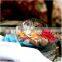 Creative home indoor decoration conch shaped micro landscape clear hand blown glass vase