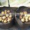 nonwoven disposable plant pot and geo-bags for plant (1 gal to 1200 gal) flower pot holders oem