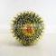 SJ3001020 Evergreen giant plastic cactus ball