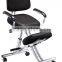 Posture Correction Study Chair Swivel Leisure Kneeling
