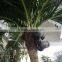 GNW APM022 mini artificial coconut palm tree sale for outdoor garden decoration