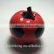 Ceramic Apple Saving Bank