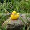 Mini CUTE fashional Resin decoration, Mini yellow duck Micro landscape furnishing articles