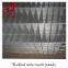 Welded wire mesh panel(factory,low price, high quality)
