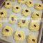Commercial industrial China biscuit cake production making machine