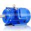 AC electric motor and three phases asynchronous motor