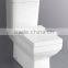 Economical Bathroom 2 piece toilet ZZ-1009