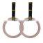 2021 Outdoor Exercises Gym Sale Carabiners Fitness Workout Mount Gymnastic Rings Wood