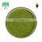 natural pure Water soluble wheatgrass juice extract powder