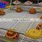 automatic chicken feeding line/poultry feeders and drinkers