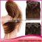 2015 Fashion Clip In Hair Remy Straight Unprocessed Brazillian Human Hair