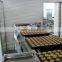 Full Automatic Custard Cake Making Line