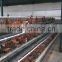 Design Egg Layer Cage Equipment with Auto Water System Hot Sale in Kenya