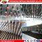 Hot Pepper Seed Planter form Zhengzhou REPHALE Machiney