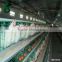 Poultry farm equipment automatic chicken layer cage for sale in philippines