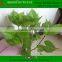 Artificial pipal tree leaves/fake linden leaf /artificial linden leaves/plastic pipal fronds