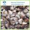 Frozen Shiitake Mushroom Whole and Quarter Cuts