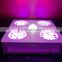Newly Released SOLO 300w Full Spectrum LED Grow Lights for 420/weed/hemp growing
