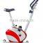 Home use magnetic bike